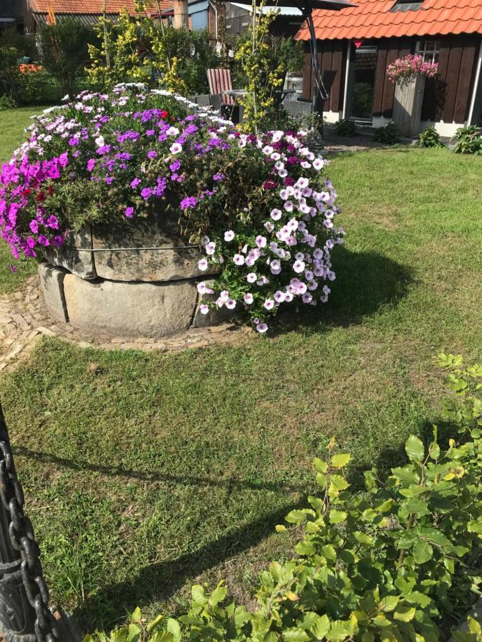 Apartment Mooie Plek *